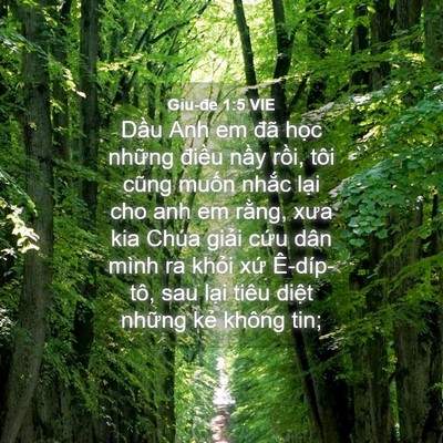 Picture 04 - Giu-đe 1:5 VIE - Dầu Anh em đã học những điều nầy - Bible Verse Picture