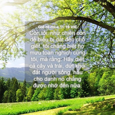 Picture 04 - Giê-rê-mi-a 11:19 VIE - Còn tôi, như chiên con dễ biểu bị dắt - Bible Verse Picture