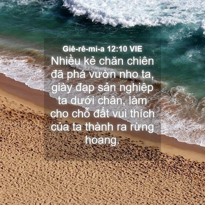 Picture 04 - Giê-rê-mi-a 12:10 VIE - Nhiều kẻ chăn chiên đã phá vườn nho - Bible Verse Picture