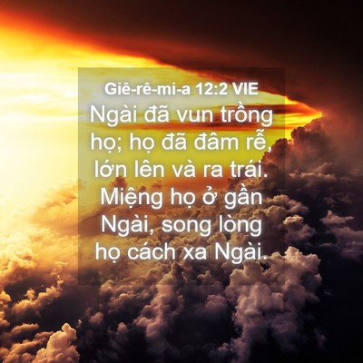 Picture 04 - Giê-rê-mi-a 12:2 VIE - Ngài đã vun trồng họ; họ đã đâm - Bible Verse Picture