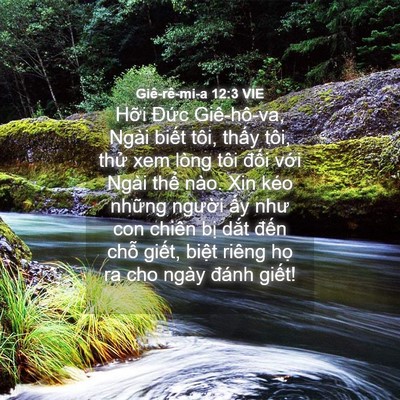 Picture 04 - Giê-rê-mi-a 12:3 VIE - Hỡi Đức Giê-hô-va, Ngài biết tôi, - Bible Verse Picture