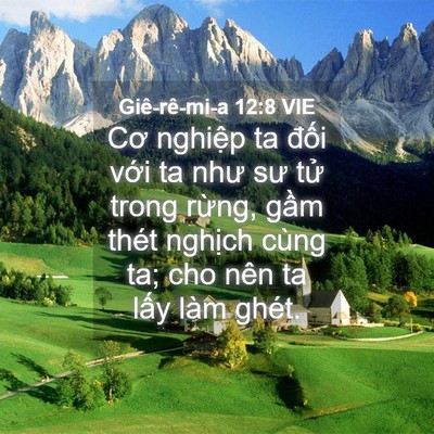 Picture 04 - Giê-rê-mi-a 12:8 VIE - Cơ nghiệp ta đối với ta như sư tử - Bible Verse Picture