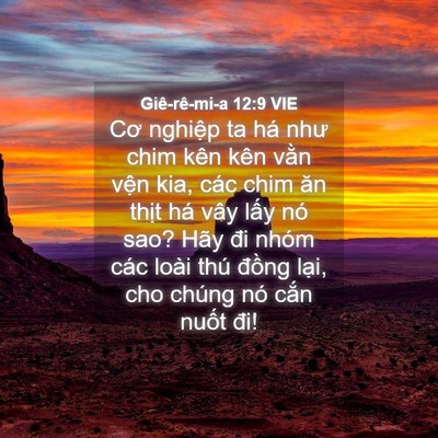 Picture 04 - Giê-rê-mi-a 12:9 VIE - Cơ nghiệp ta há như chim kên kên vằn - Bible Verse Picture