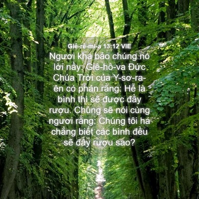 Picture 04 - Giê-rê-mi-a 13:12 VIE - Ngươi khá bảo chúng nó lời nầy: - Bible Verse Picture