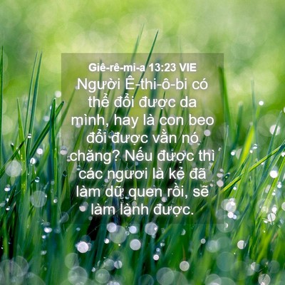 Picture 04 - Giê-rê-mi-a 13:23 VIE - Người Ê-thi-ô-bi có thể đổi được - Bible Verse Picture