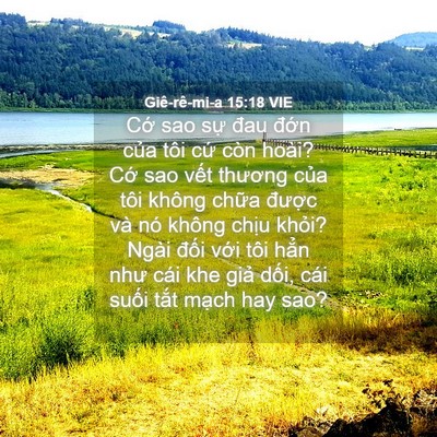 Picture 04 - Giê-rê-mi-a 15:18 VIE - Cớ sao sự đau đớn của tôi cứ còn - Bible Verse Picture