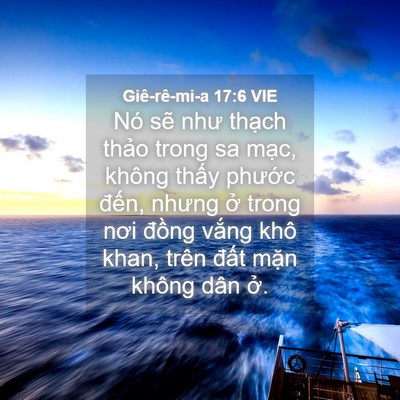 Picture 04 - Giê-rê-mi-a 17:6 VIE - Nó sẽ như thạch thảo trong sa mạc, - Bible Verse Picture