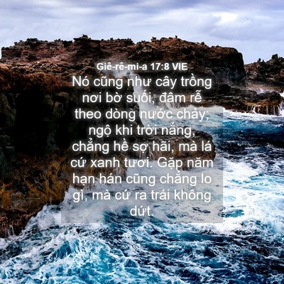 Picture 04 - Giê-rê-mi-a 17:8 VIE - Nó cũng như cây trồng nơi bờ suối, - Bible Verse Picture