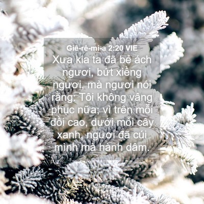 Picture 04 - Giê-rê-mi-a 2:20 VIE - Xưa kia ta đã bẻ ách ngươi, bứt xiềng - Bible Verse Picture
