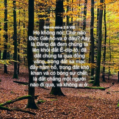 Picture 04 - Giê-rê-mi-a 2:6 VIE - Họ không nói: Chớ nào Đức Giê-hô-va - Bible Verse Picture