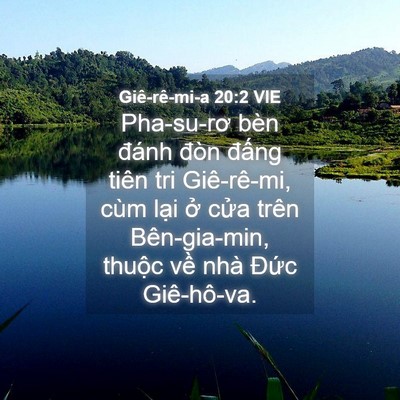Picture 04 - Giê-rê-mi-a 20:2 VIE - Pha-su-rơ bèn đánh đòn đấng tiên tri - Bible Verse Picture
