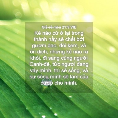 Picture 04 - Giê-rê-mi-a 21:9 VIE - Kẻ nào cứ ở lại trong thành nầy sẽ - Bible Verse Picture