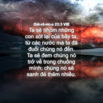 Picture 04 - Giê-rê-mi-a 23:3 VIE - Ta sẽ nhóm những con sót lại của bầy - Bible Verse Picture