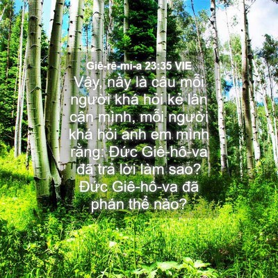 Picture 04 - Giê-rê-mi-a 23:35 VIE - Vậy, nầy là câu mỗi người khá hỏi - Bible Verse Picture