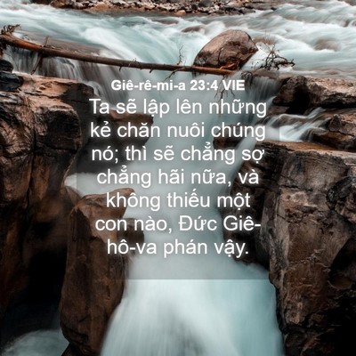 Picture 04 - Giê-rê-mi-a 23:4 VIE - Ta sẽ lập lên những kẻ chăn nuôi - Bible Verse Picture