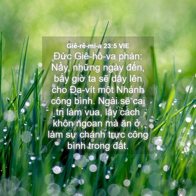 Picture 04 - Giê-rê-mi-a 23:5 VIE - Đức Giê-hô-va phán: Nầy, những ngày - Bible Verse Picture
