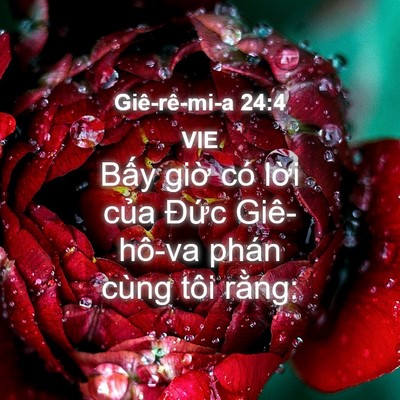 Picture 04 - Giê-rê-mi-a 24:4 VIE - Bấy giờ có lời của Đức Giê-hô-va - Bible Verse Picture