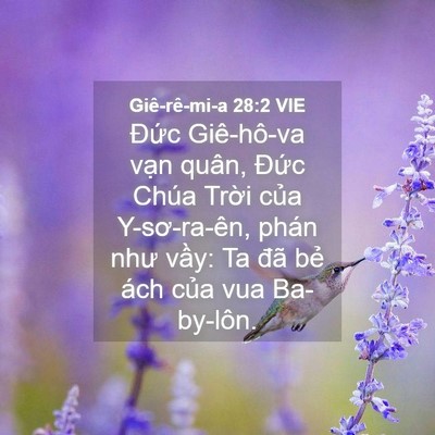 Picture 04 - Giê-rê-mi-a 28:2 VIE - Đức Giê-hô-va vạn quân, Đức Chúa - Bible Verse Picture
