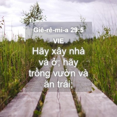 Picture 04 - Giê-rê-mi-a 29:5 VIE - Hãy xây nhà và ở; hãy trồng vườn và - Bible Verse Picture