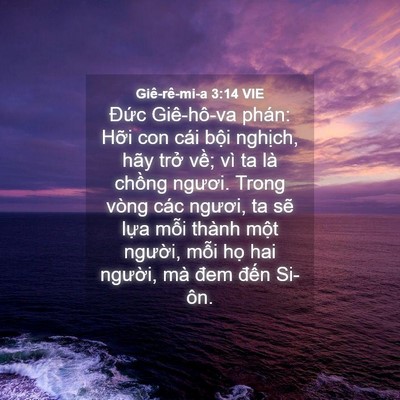 Picture 04 - Giê-rê-mi-a 3:14 VIE - Đức Giê-hô-va phán: Hỡi con cái bội - Bible Verse Picture