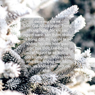 Picture 04 - Giê-rê-mi-a 3:16 VIE - Đức Giê-hô-va phán: Trong những ngày - Bible Verse Picture