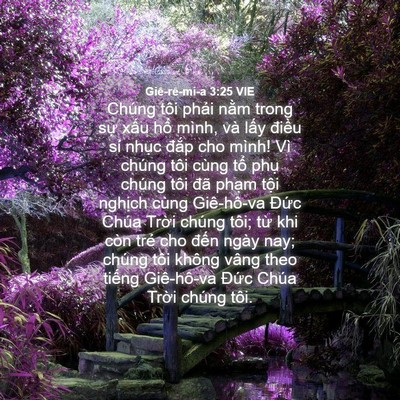 Picture 04 - Giê-rê-mi-a 3:25 VIE - Chúng tôi phải nằm trong sự xấu hổ - Bible Verse Picture