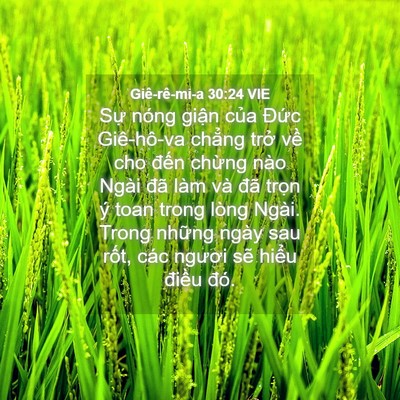 Picture 04 - Giê-rê-mi-a 30:24 VIE - Sự nóng giận của Đức Giê-hô-va - Bible Verse Picture
