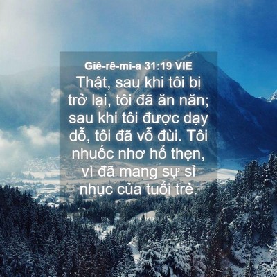 Picture 04 - Giê-rê-mi-a 31:19 VIE - Thật, sau khi tôi bị trở lại, tôi đã - Bible Verse Picture