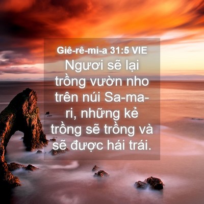 Picture 04 - Giê-rê-mi-a 31:5 VIE - Ngươi sẽ lại trồng vườn nho trên núi - Bible Verse Picture