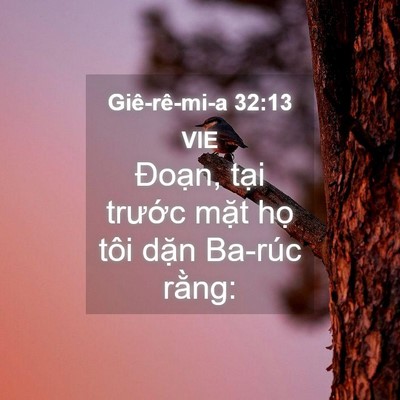 Picture 04 - Giê-rê-mi-a 32:13 VIE - Đoạn, tại trước mặt họ tôi dặn - Bible Verse Picture