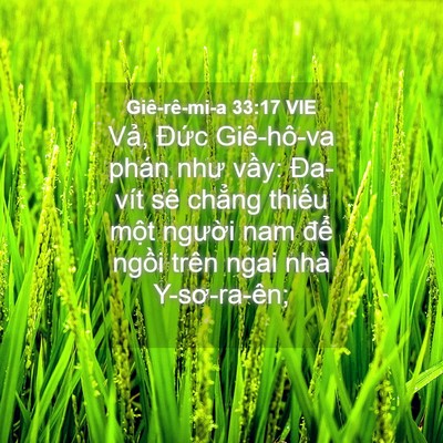 Picture 04 - Giê-rê-mi-a 33:17 VIE - Vả, Đức Giê-hô-va phán như vầy: - Bible Verse Picture