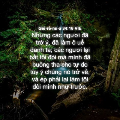 Picture 04 - Giê-rê-mi-a 34:16 VIE - Nhưng các ngươi đã trở ý, đã làm ô - Bible Verse Picture
