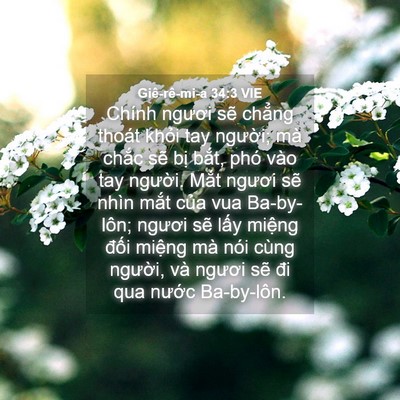 Picture 04 - Giê-rê-mi-a 34:3 VIE - Chính ngươi sẽ chẳng thoát khỏi tay - Bible Verse Picture