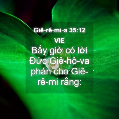 Picture 04 - Giê-rê-mi-a 35:12 VIE - Bấy giờ có lời Đức Giê-hô-va phán - Bible Verse Picture