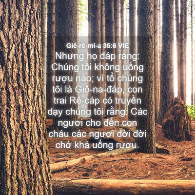 Picture 04 - Giê-rê-mi-a 35:6 VIE - Nhưng họ đáp rằng: Chúng tôi không - Bible Verse Picture
