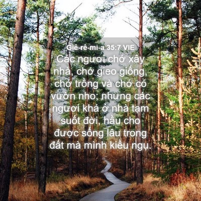Picture 04 - Giê-rê-mi-a 35:7 VIE - Các ngươi chớ xây nhà, chớ gieo giống, - Bible Verse Picture