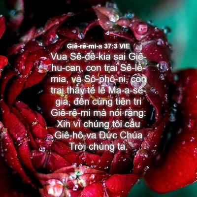 Picture 04 - Giê-rê-mi-a 37:3 VIE - Vua Sê-đê-kia sai Giê-hu-can, con trai - Bible Verse Picture