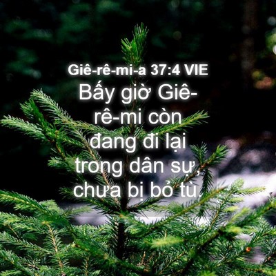 Picture 04 - Giê-rê-mi-a 37:4 VIE - Bấy giờ Giê-rê-mi còn đang đi lại - Bible Verse Picture