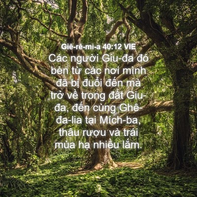 Picture 04 - Giê-rê-mi-a 40:12 VIE - Các người Giu-đa đó bèn từ các nơi - Bible Verse Picture