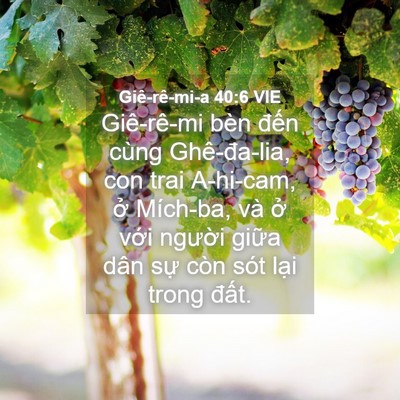 Picture 04 - Giê-rê-mi-a 40:6 VIE - Giê-rê-mi bèn đến cùng Ghê-đa-lia, con - Bible Verse Picture