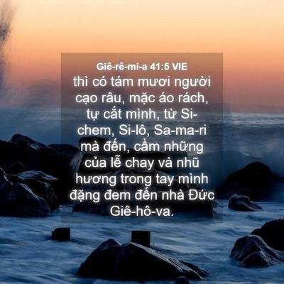 Picture 04 - Giê-rê-mi-a 41:5 VIE - thì có tám mươi người cạo râu, mặc - Bible Verse Picture