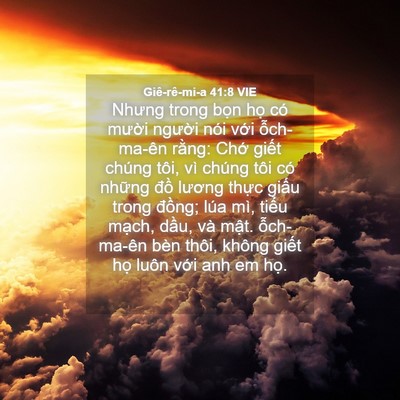 Picture 04 - Giê-rê-mi-a 41:8 VIE - Nhưng trong bọn họ có mười người nói - Bible Verse Picture