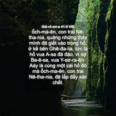 Picture 04 - Giê-rê-mi-a 41:9 VIE - ỗch-ma-ên, con trai Nê-tha-nia, quăng - Bible Verse Picture