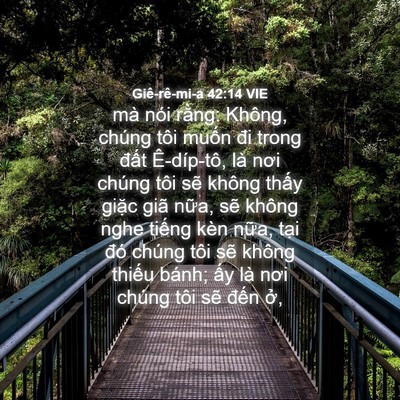 Picture 04 - Giê-rê-mi-a 42:14 VIE - mà nói rằng: Không, chúng tôi muốn đi - Bible Verse Picture