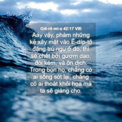 Picture 04 - Giê-rê-mi-a 42:17 VIE - Aáy vậy, phàm những kẻ xây mặt vào - Bible Verse Picture