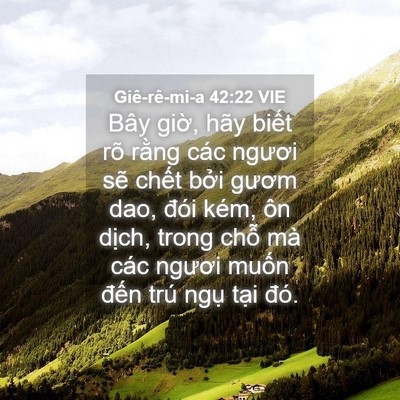 Picture 04 - Giê-rê-mi-a 42:22 VIE - Bây giờ, hãy biết rõ rằng các ngươi - Bible Verse Picture