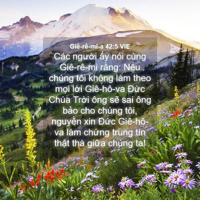 Picture 04 - Giê-rê-mi-a 42:5 VIE - Các người ấy nói cùng Giê-rê-mi rằng: - Bible Verse Picture