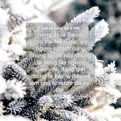 Picture 04 - Giê-rê-mi-a 43:3 VIE - nhưng ấy là Ba-rúc, con trai Nê-ri-gia, xui - Bible Verse Picture