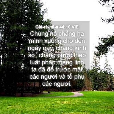 Picture 04 - Giê-rê-mi-a 44:10 VIE - Chúng nó chẳng hạ mình xuống cho đến - Bible Verse Picture