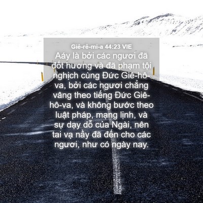 Picture 04 - Giê-rê-mi-a 44:23 VIE - Aáy là bởi các ngươi đã đốt hương - Bible Verse Picture